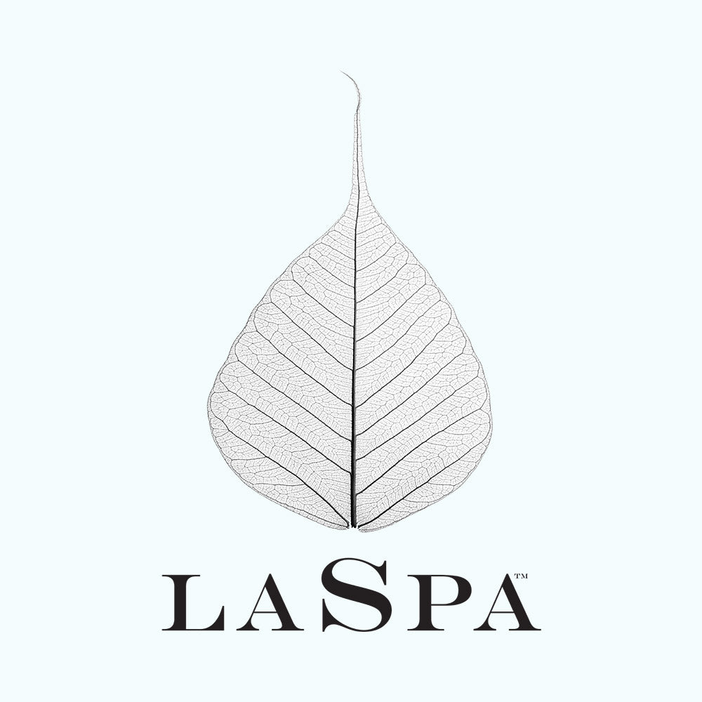 Celebrate Black History Month with LASPA Naturals – A Message from our Founder